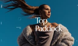 ویترین پارالاکس